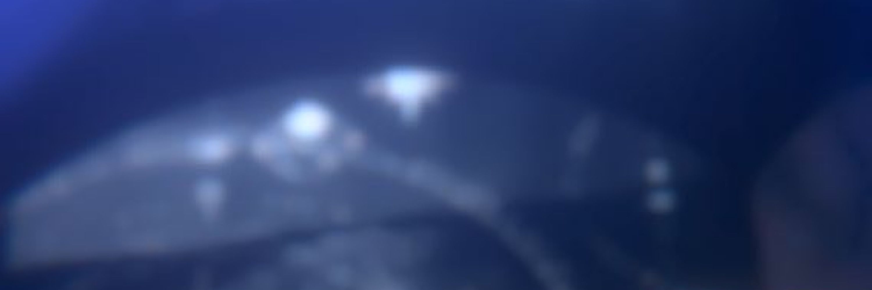 ねぎ玉