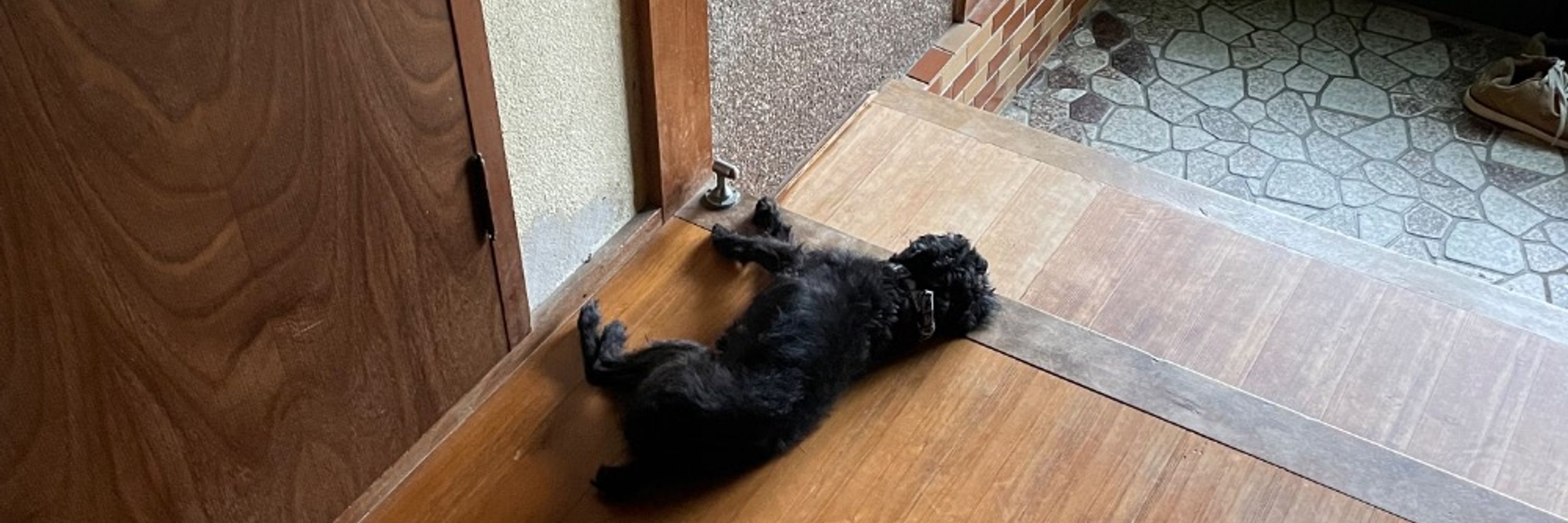 はるきち