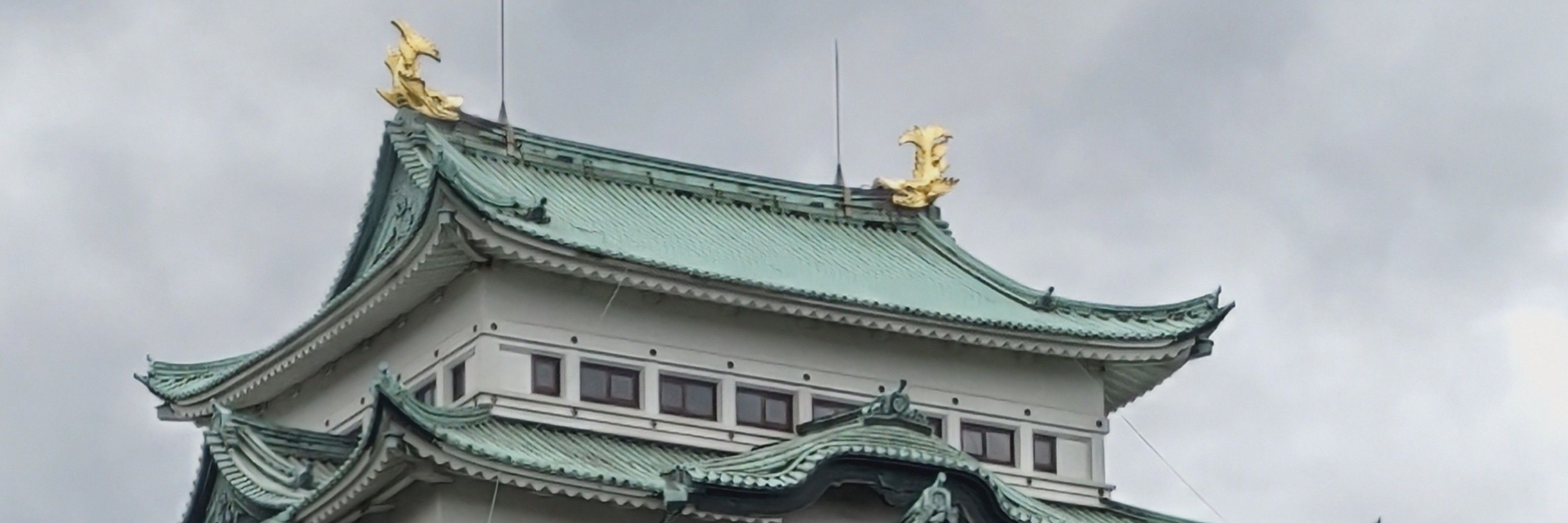 葉っぱ