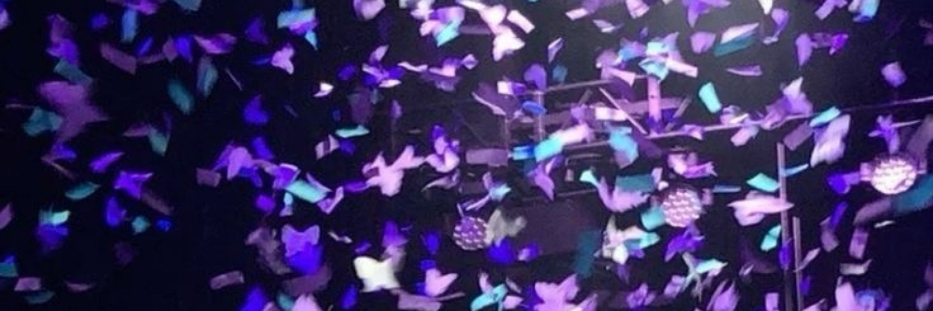 ѕтe ⌇ 💜💙
