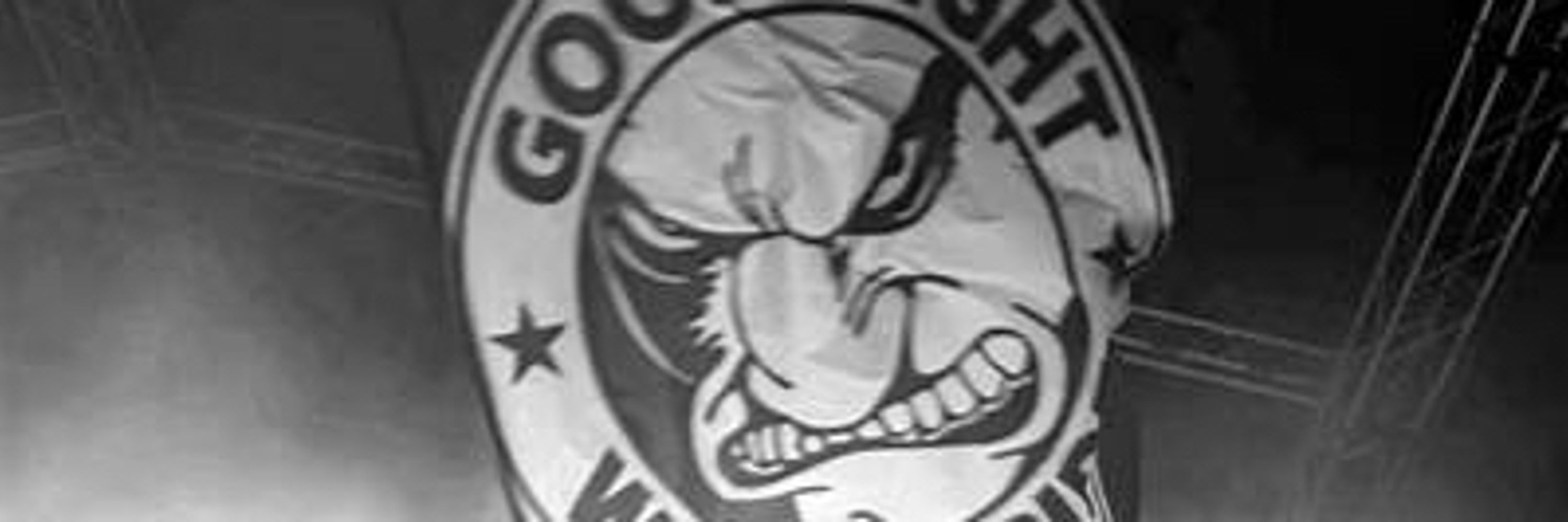 GothLunaMoth