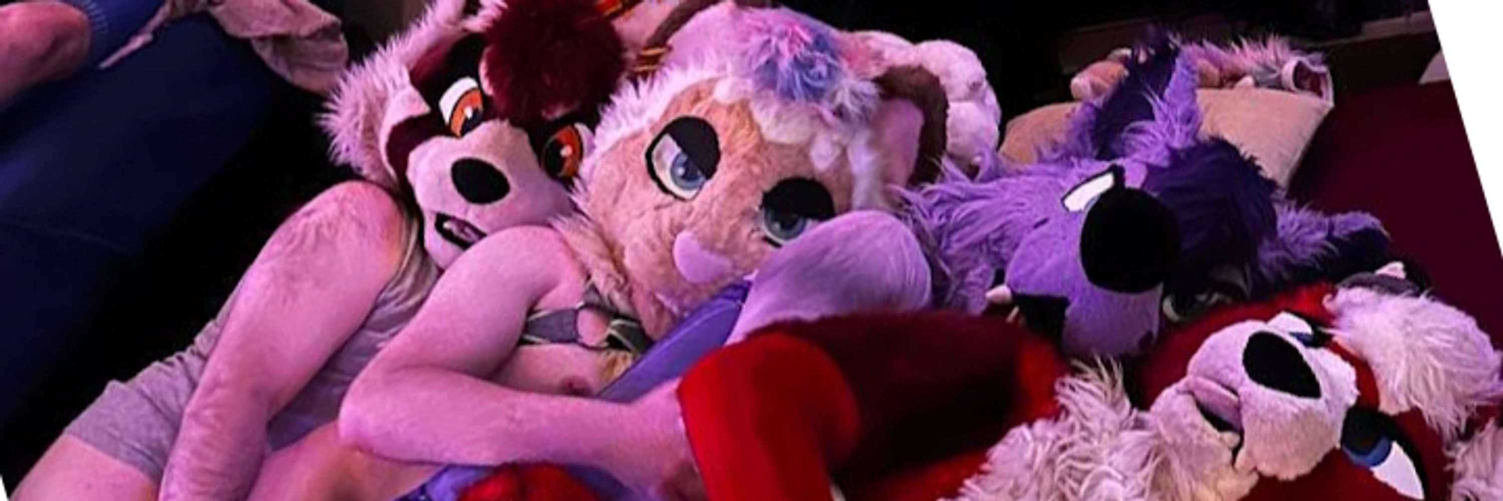 thyme AD ➡️ Furlandia