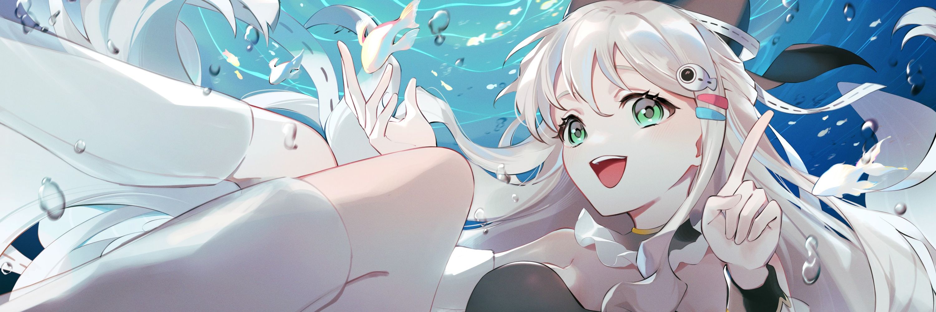 噗拉魚丼Live2D🐟
