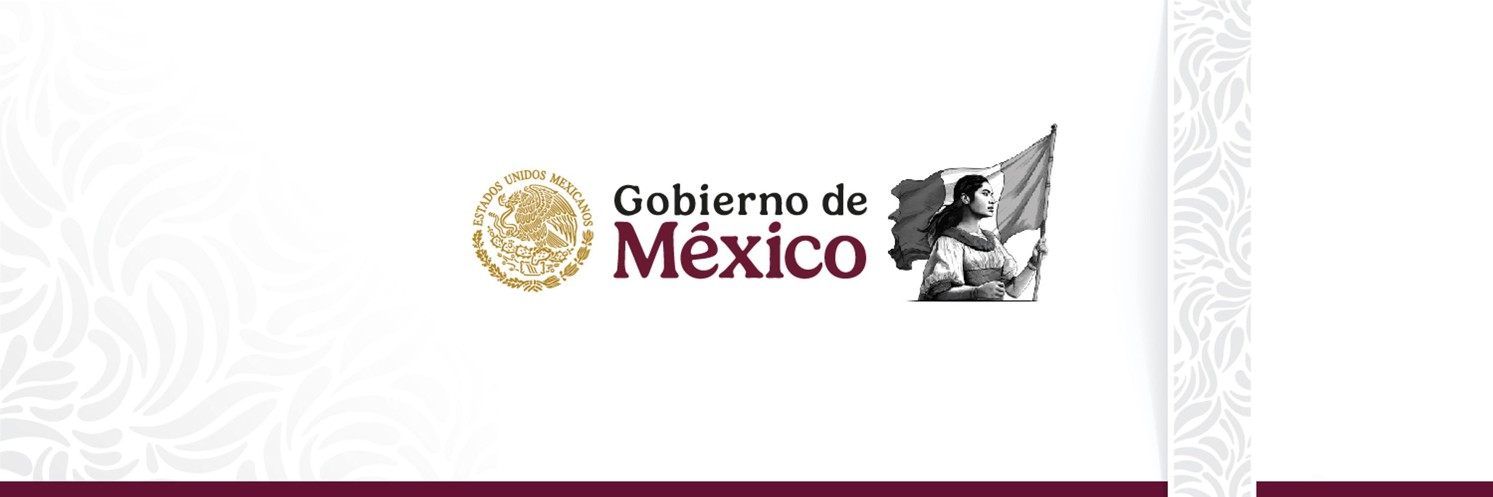 Gobierno de México