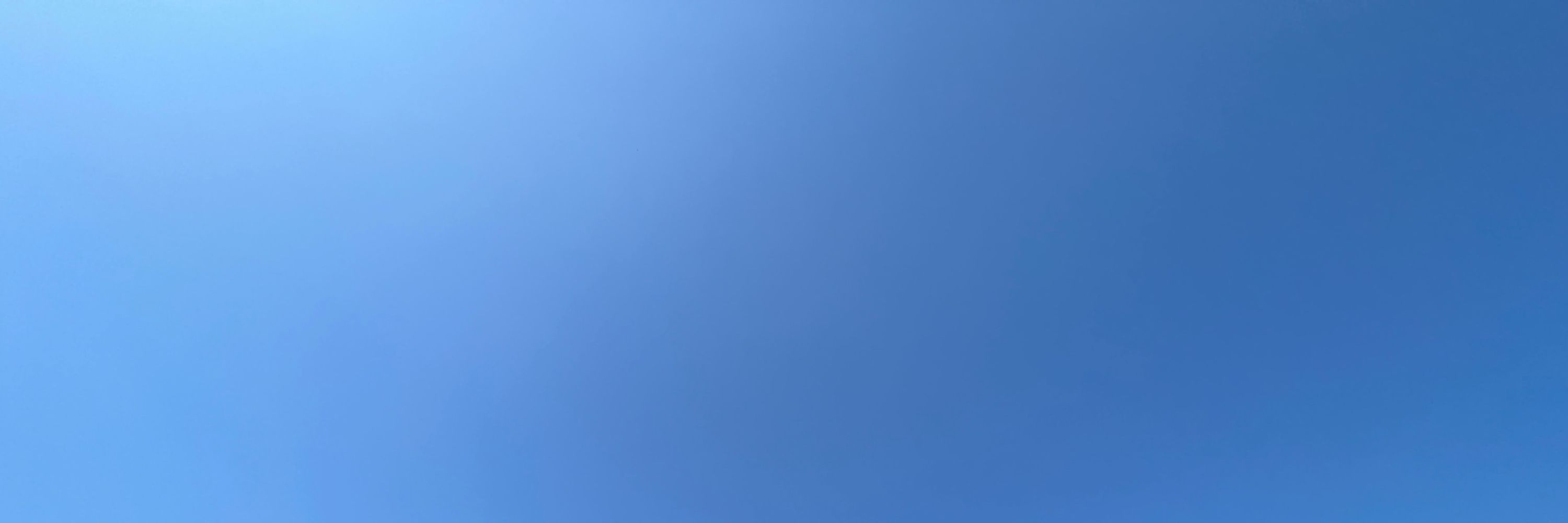 風林檎