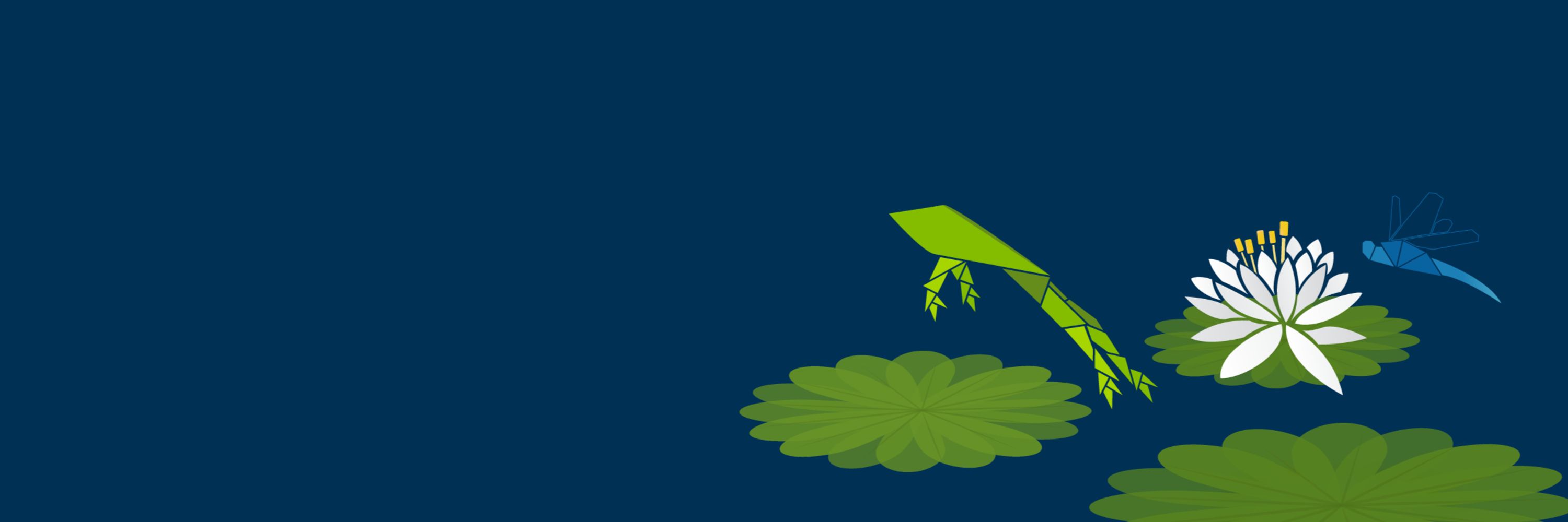 Sourcetoad