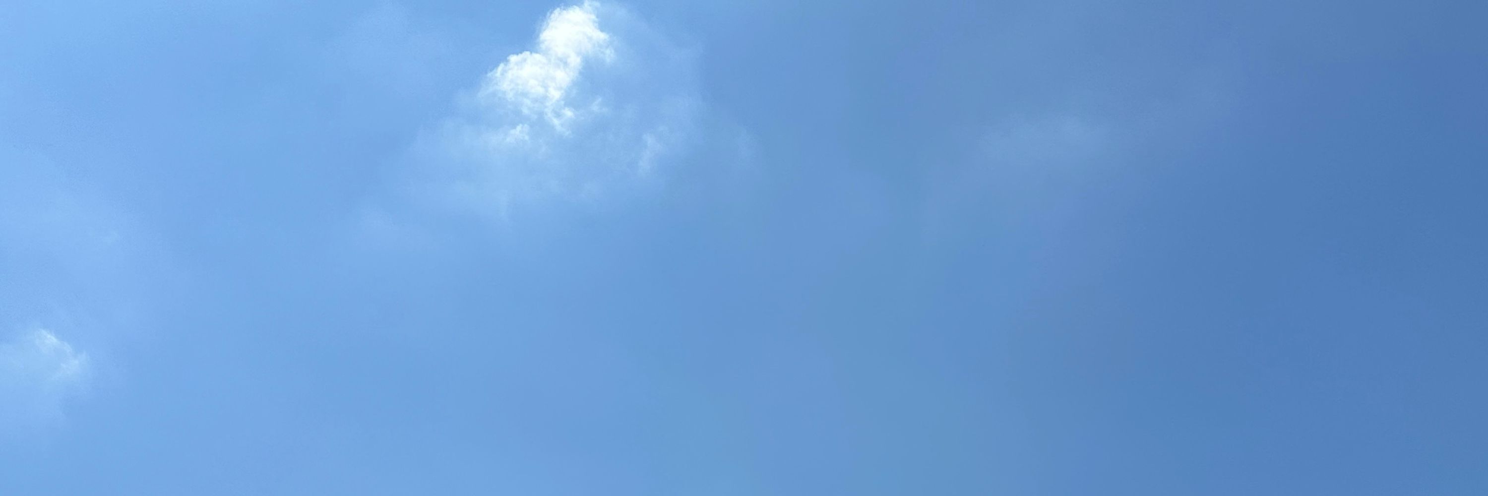 ぱすてる