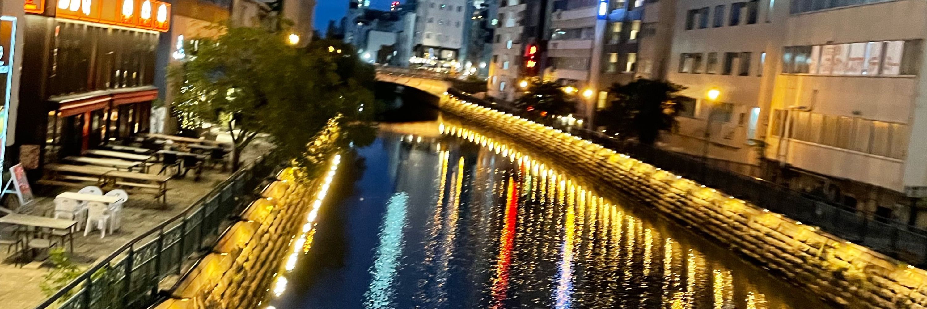 城猫