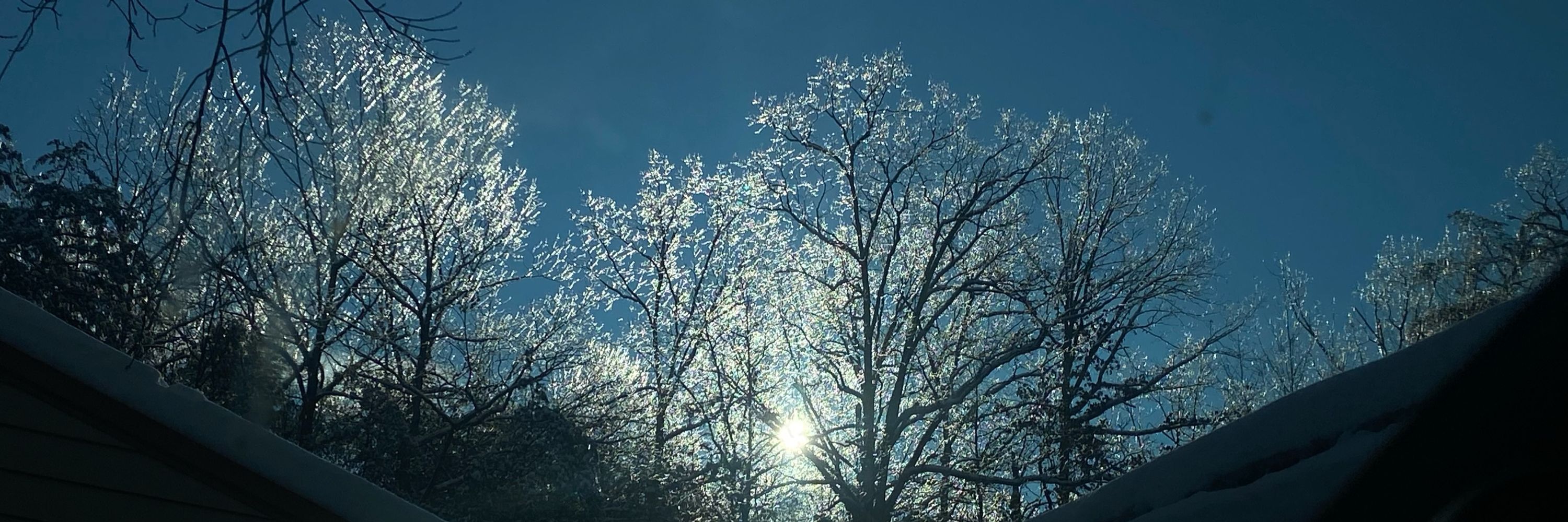 Twig