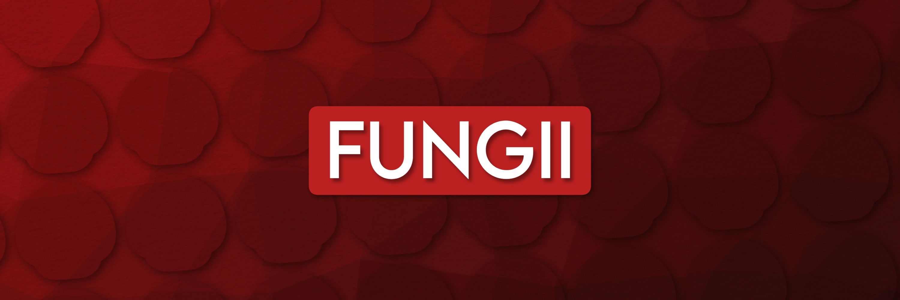 Mr. Fungii 🍄