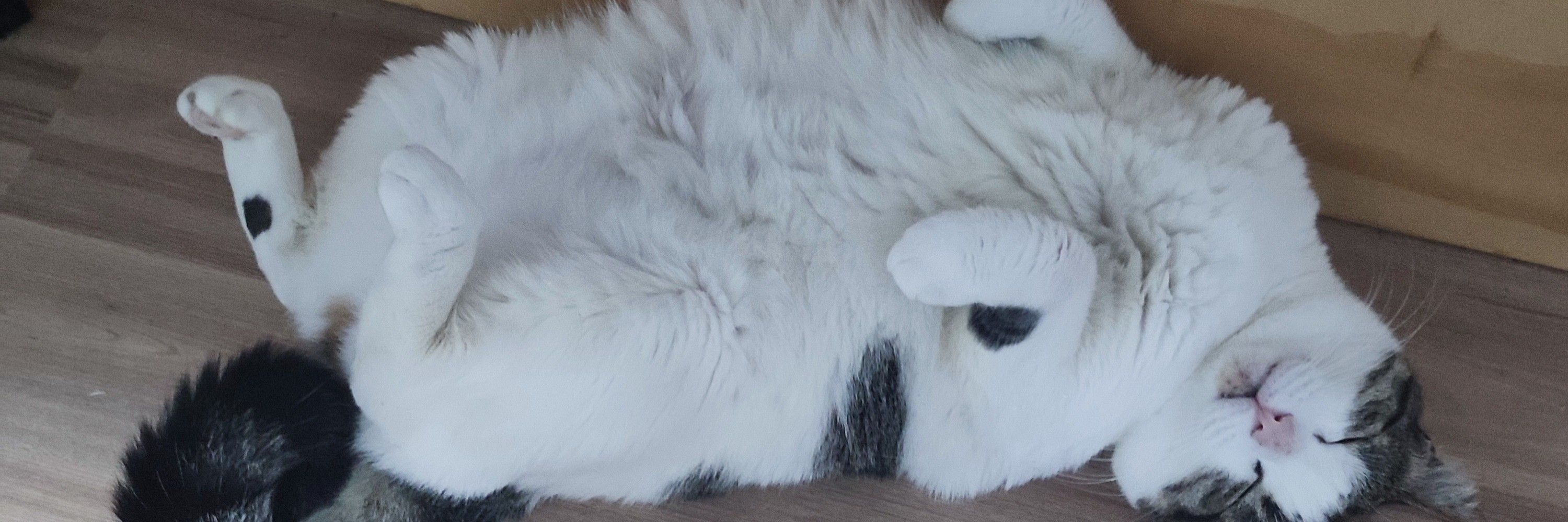 tobias