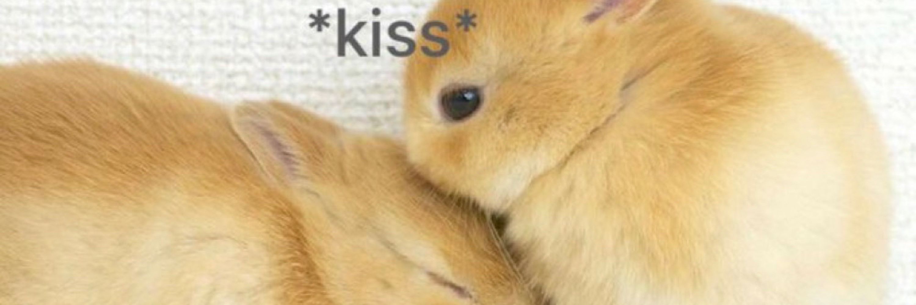 jess??