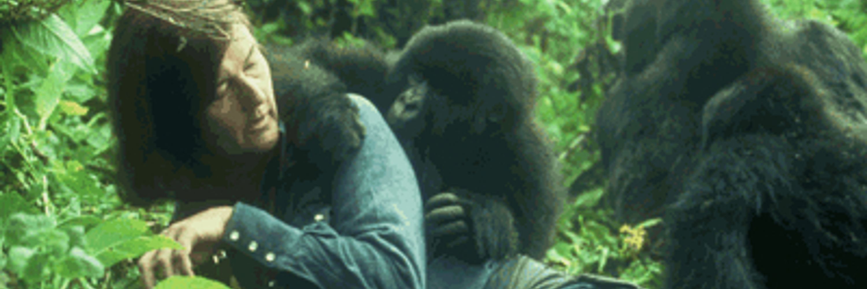 Dian Fossey