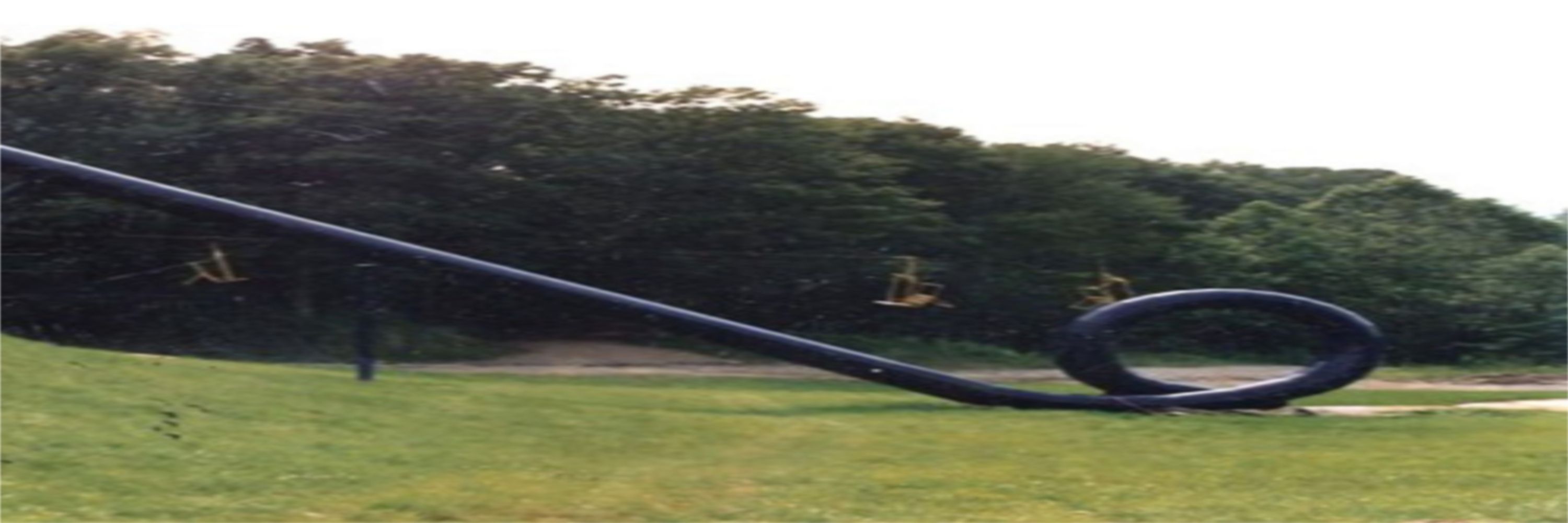 aWildEmerald
