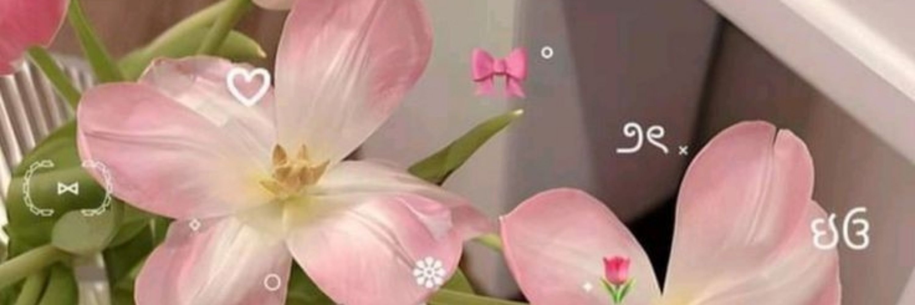 ʀᴀʏ ✿