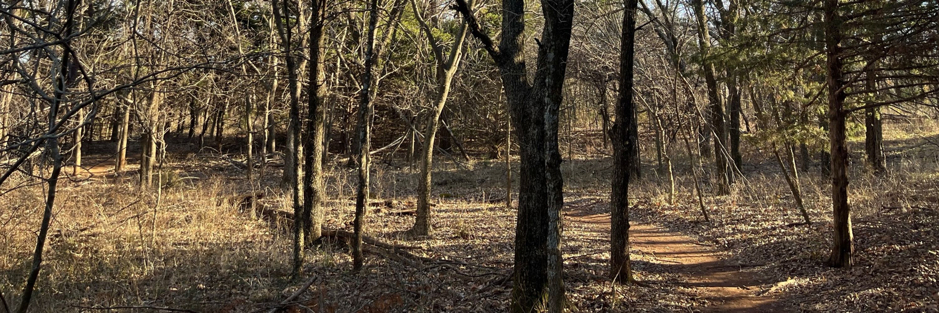 BrīSquatch