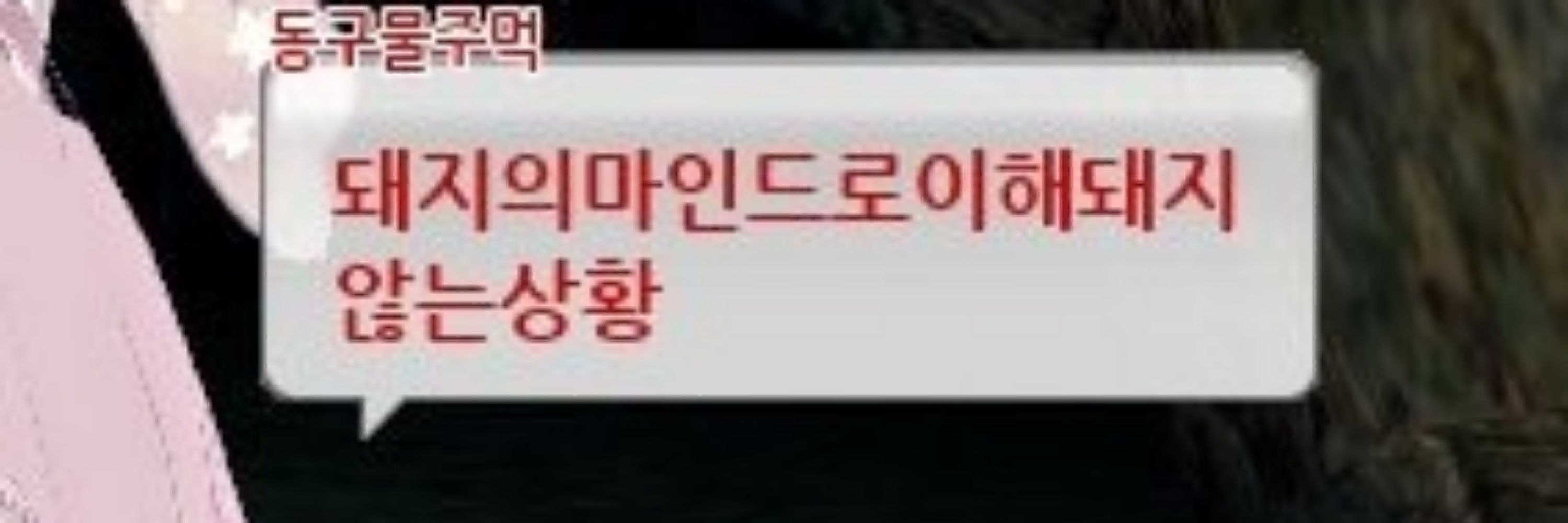 헤당