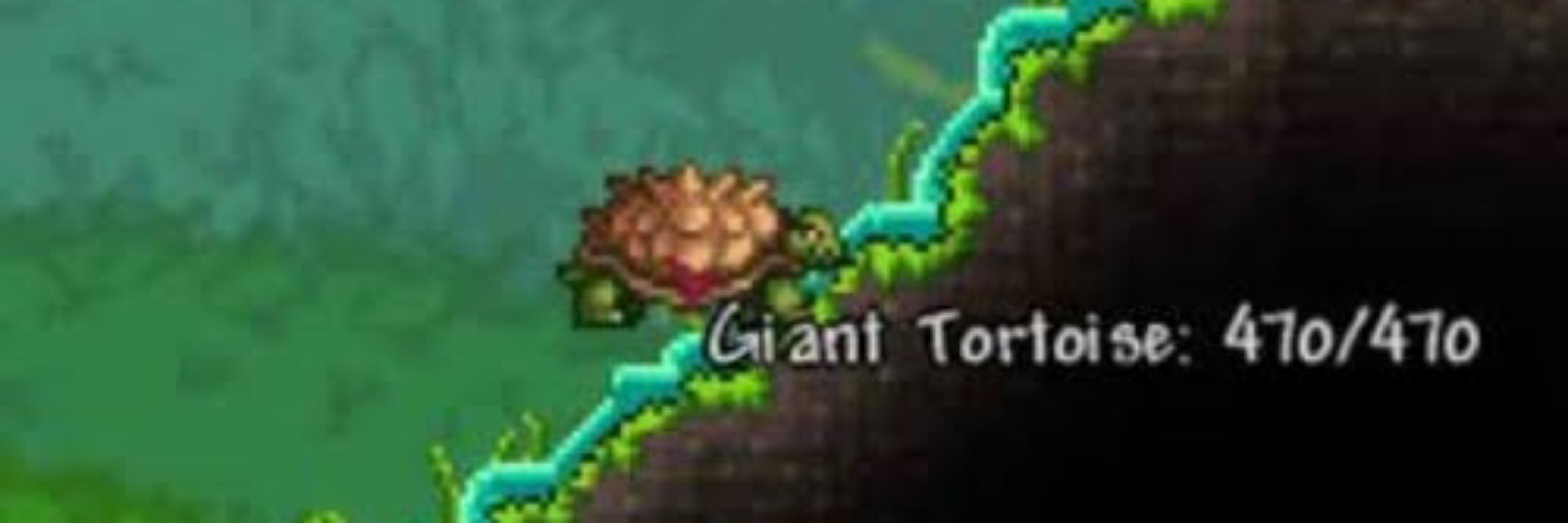 Terraria Memes