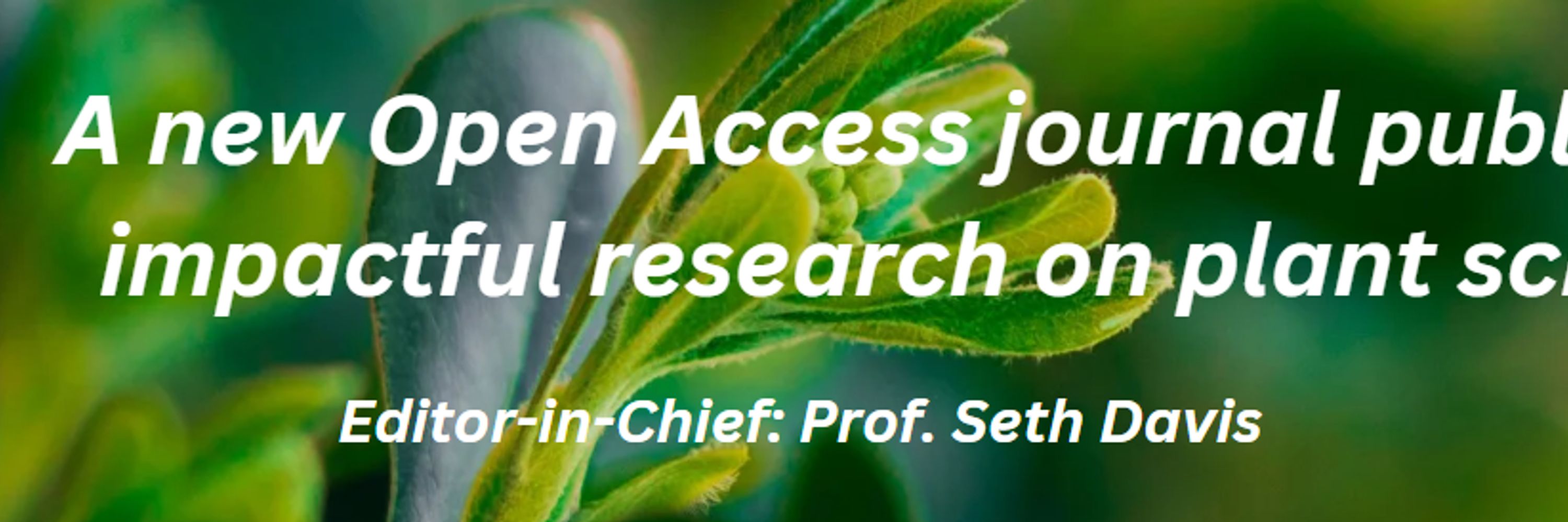 Critical Insights in Plant Sciences