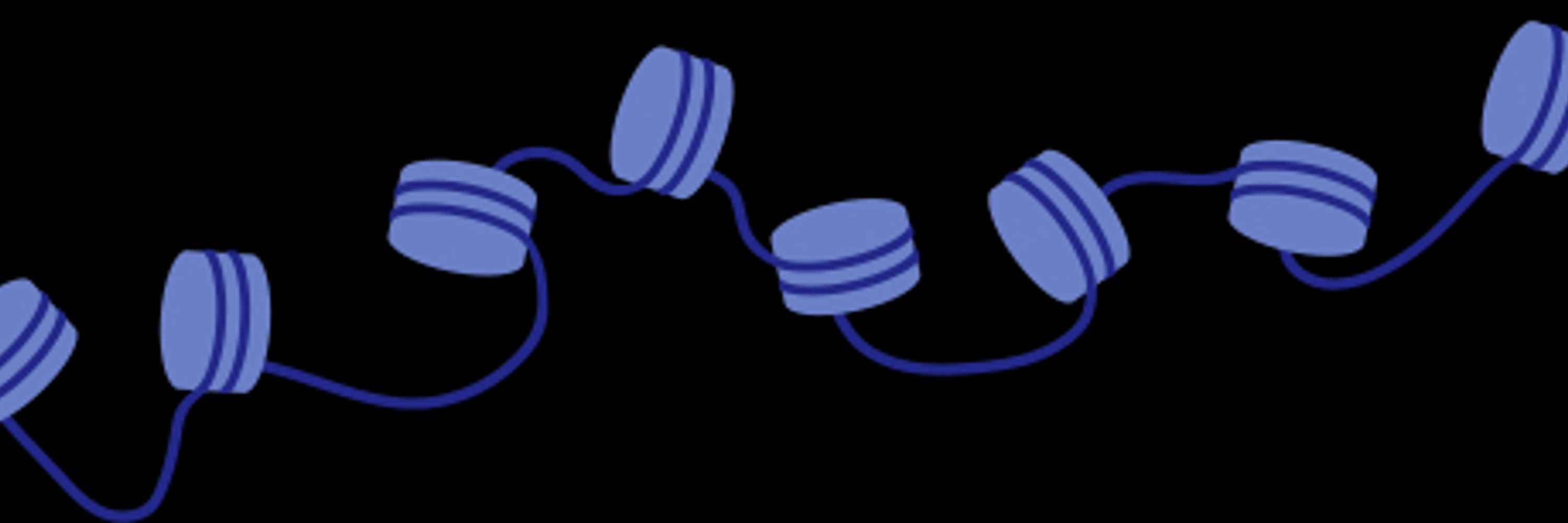 Blindspot Bio
