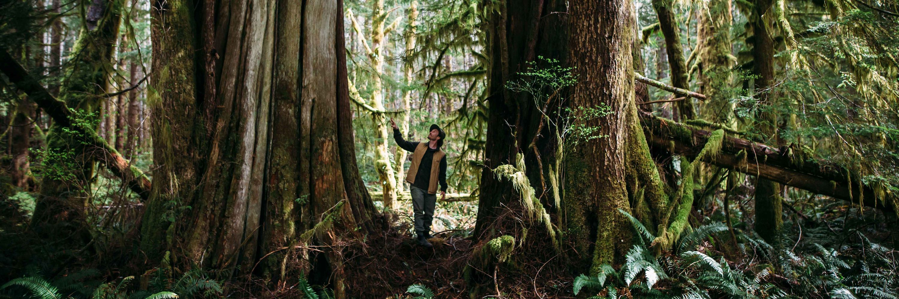 Ross Reid, Nature Nerd