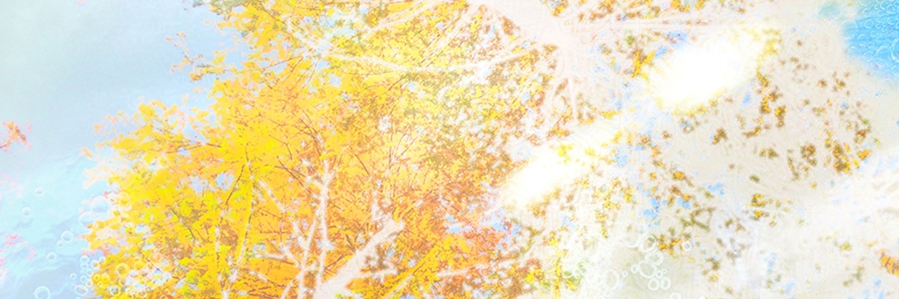 藤衣 真菜｜FUJIYMANA