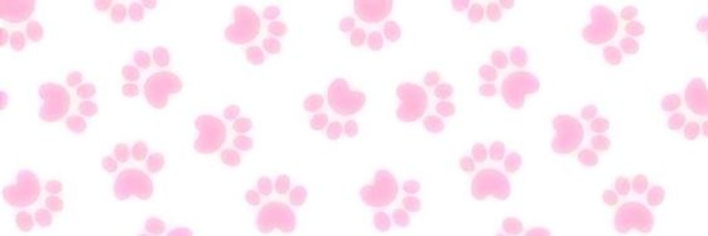 Ally ☆ !!