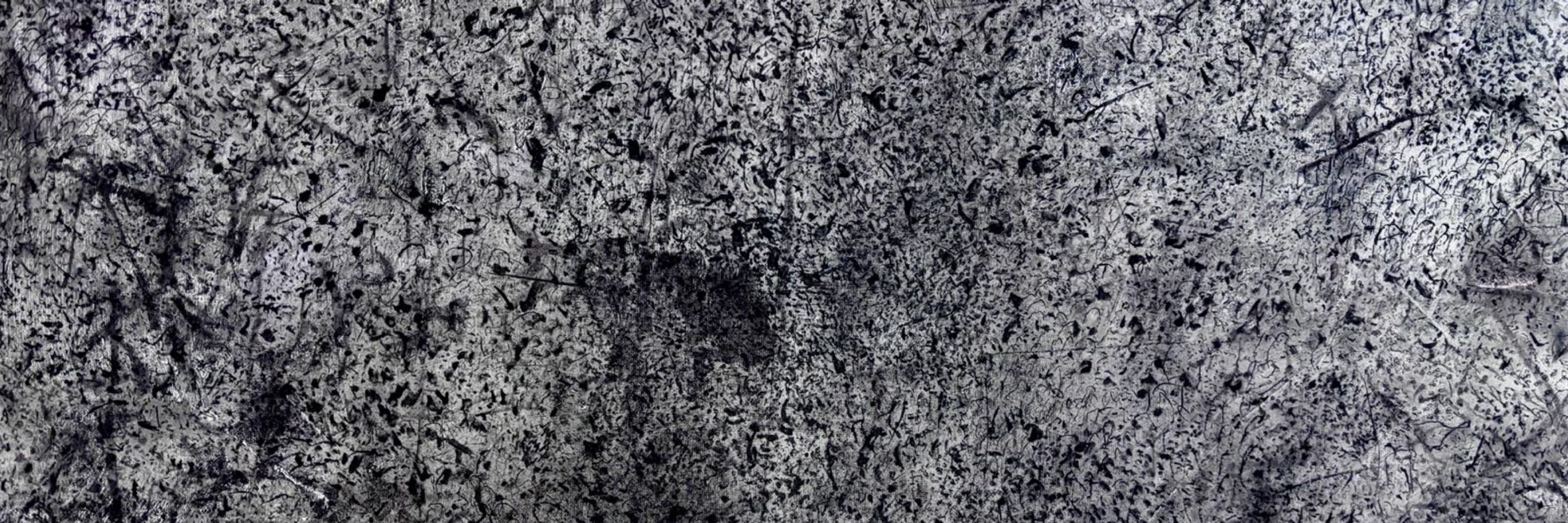 Shinichiro Ikeda