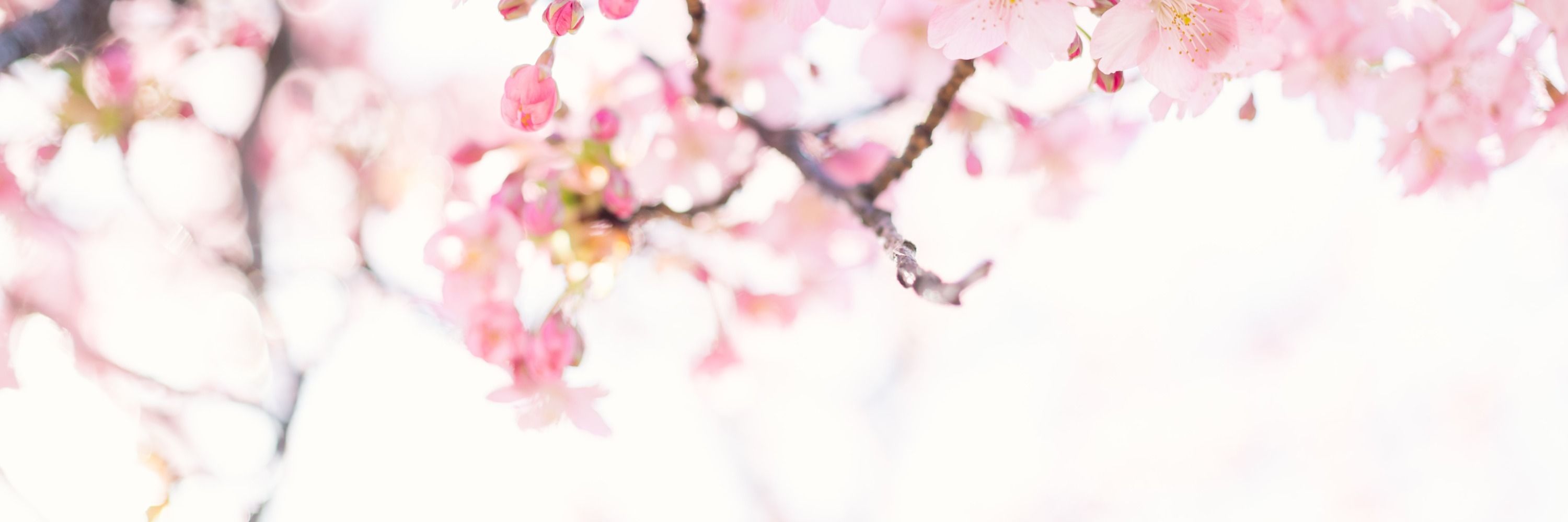 열시