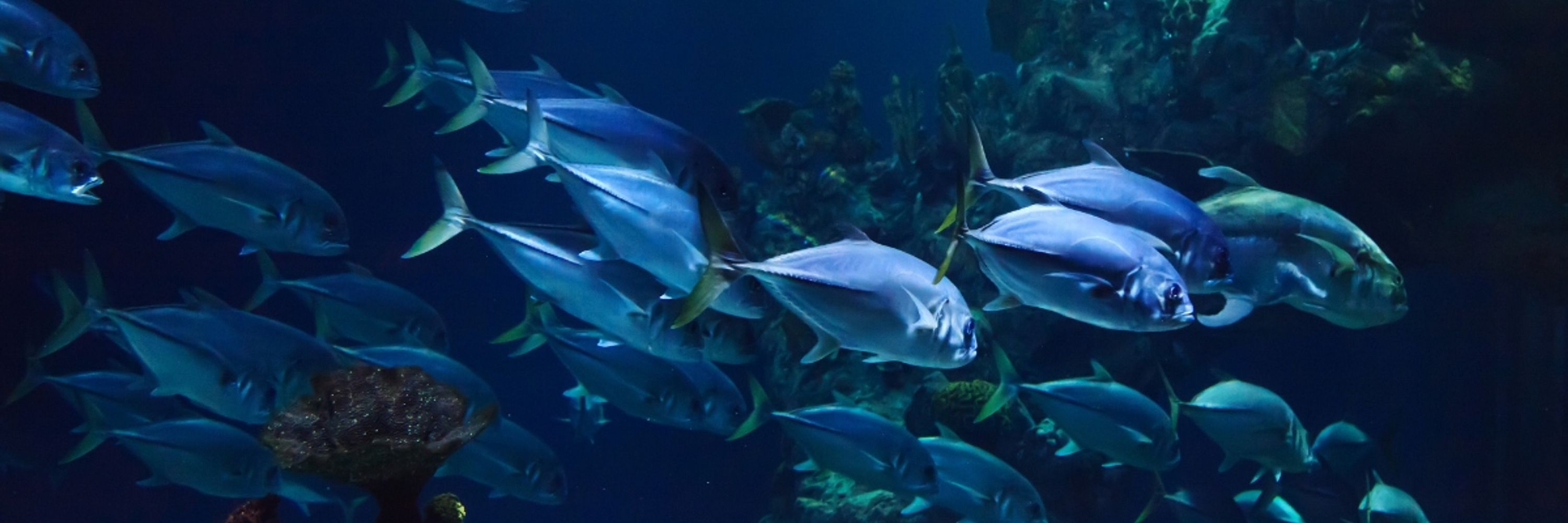 Quantitative Aquatics (Q-quatics)