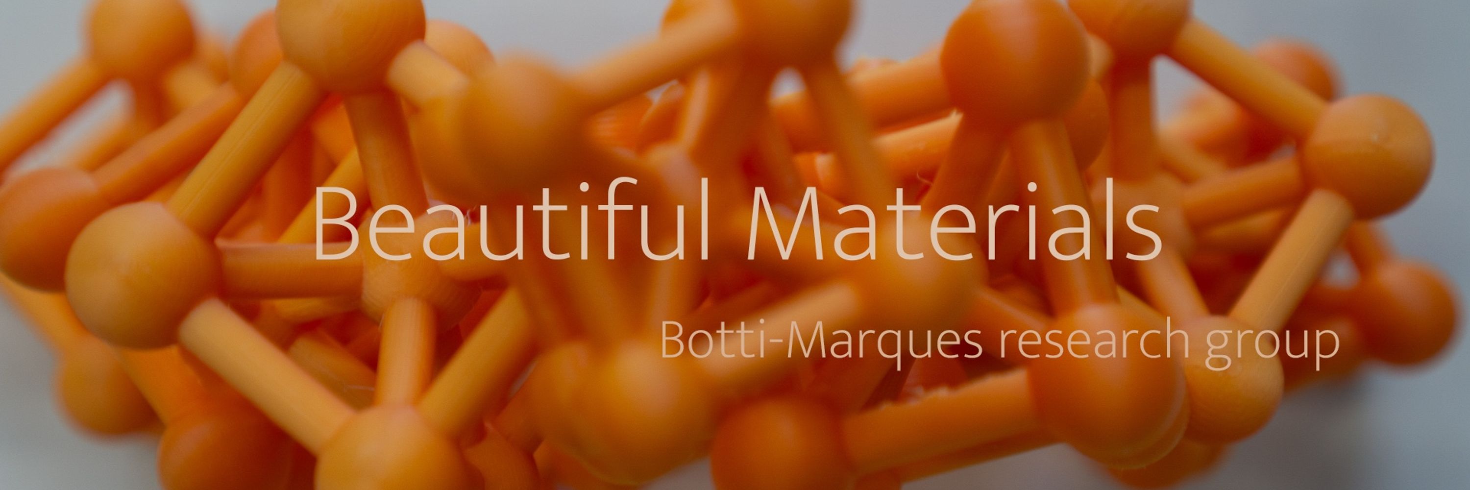 Botti-Marques research group
