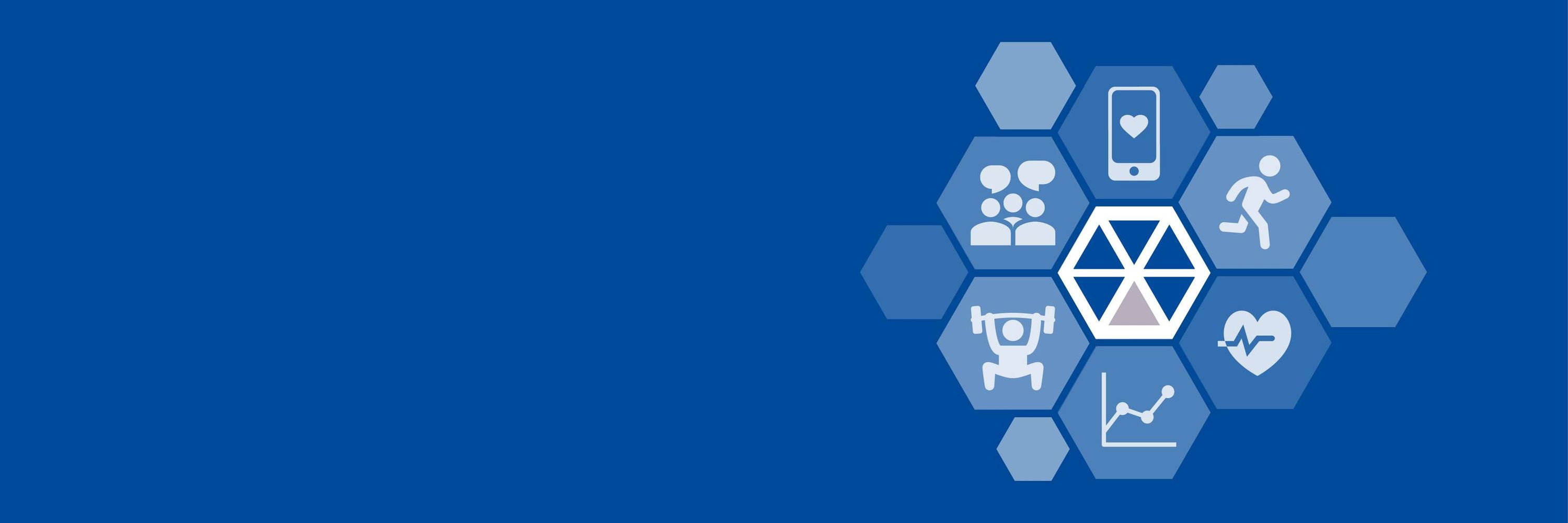 Ludwig Boltzmann Institute for Digital Health and Prevention 