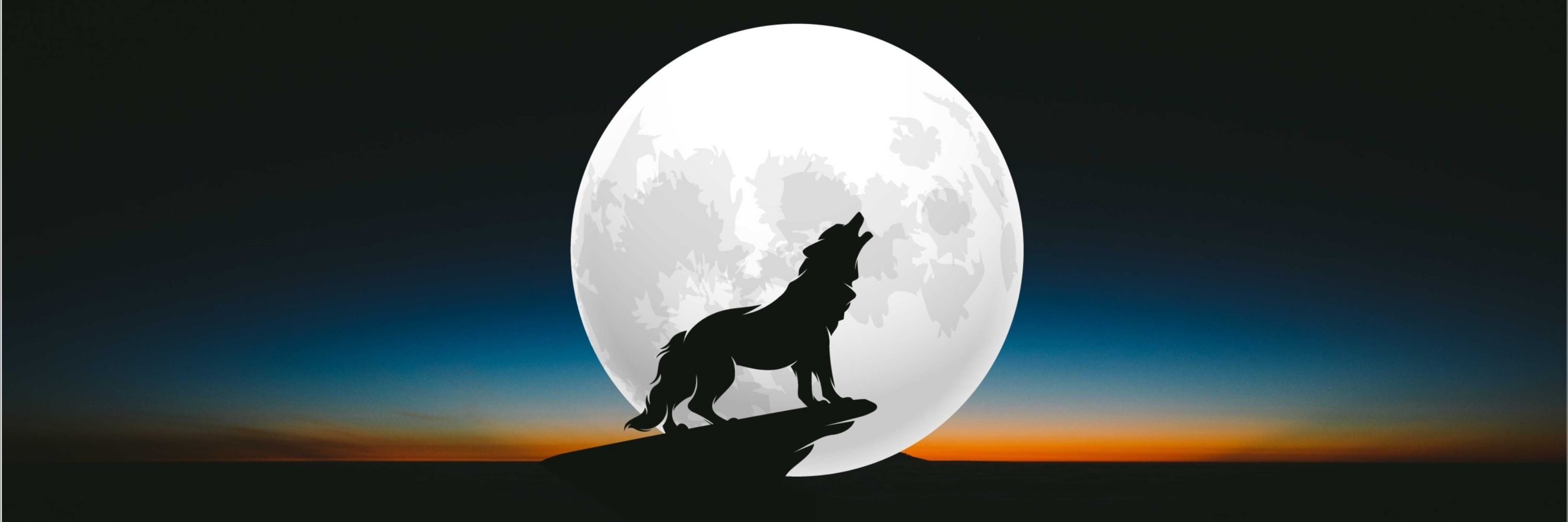 🐺월랑🐺