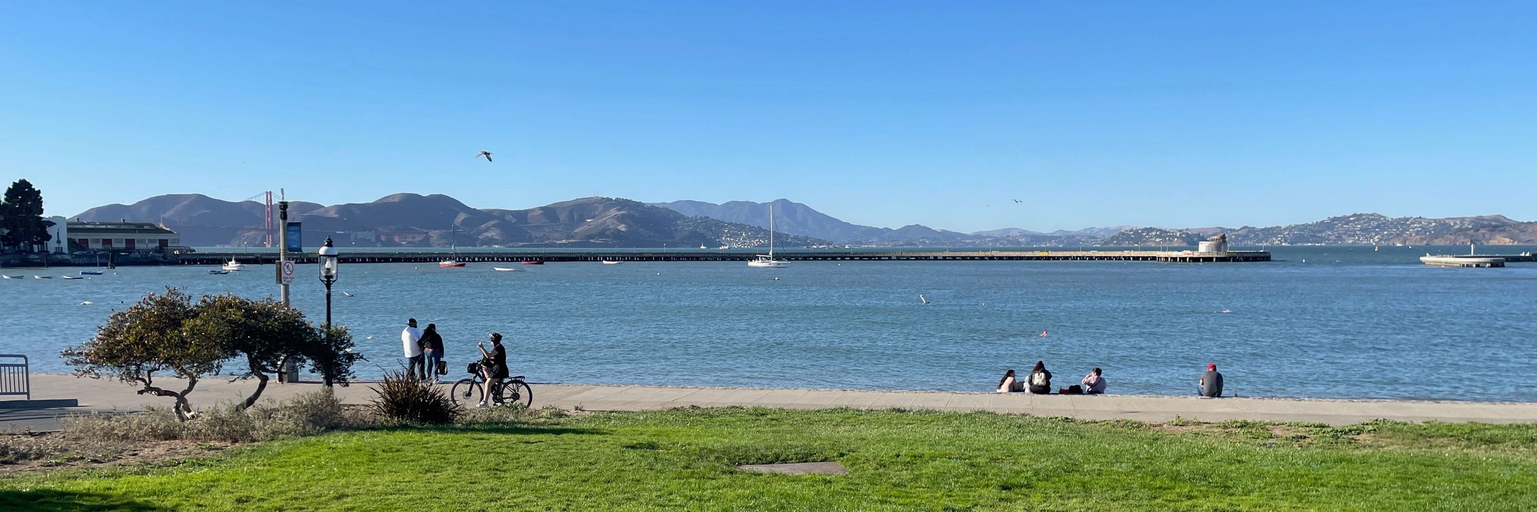 SwimmableSFBay
