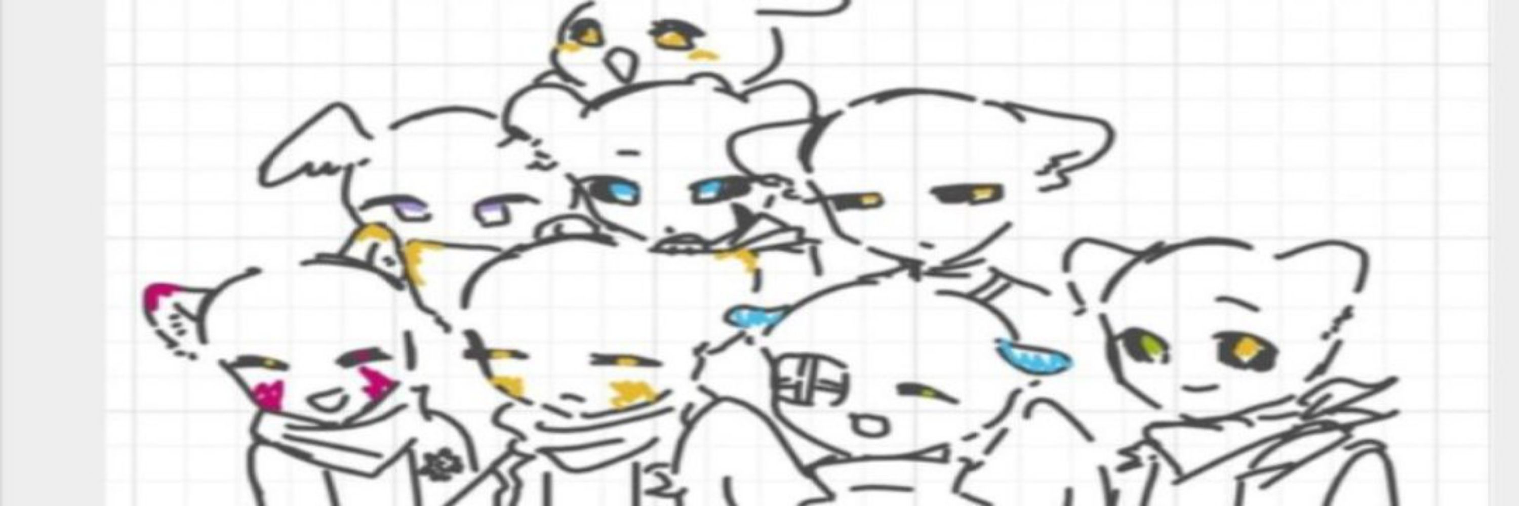 Cocoakookoo 