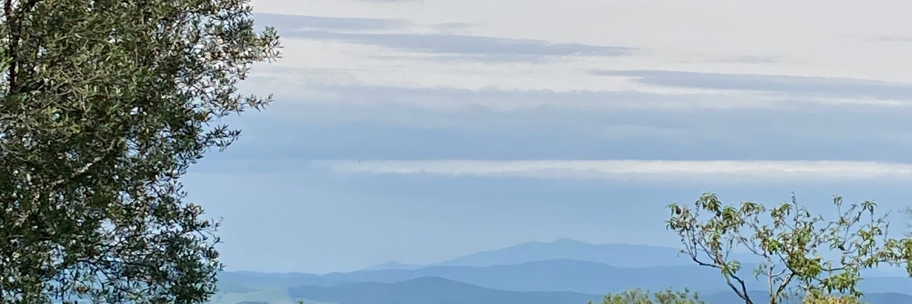 Serene
