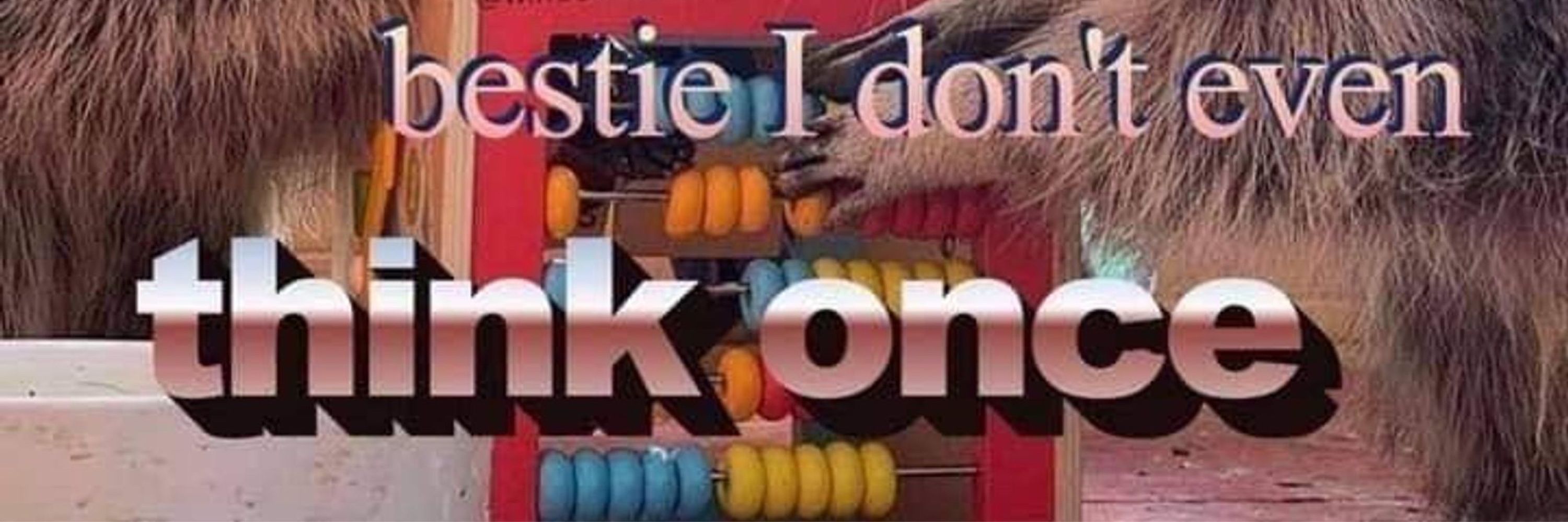 remccoon