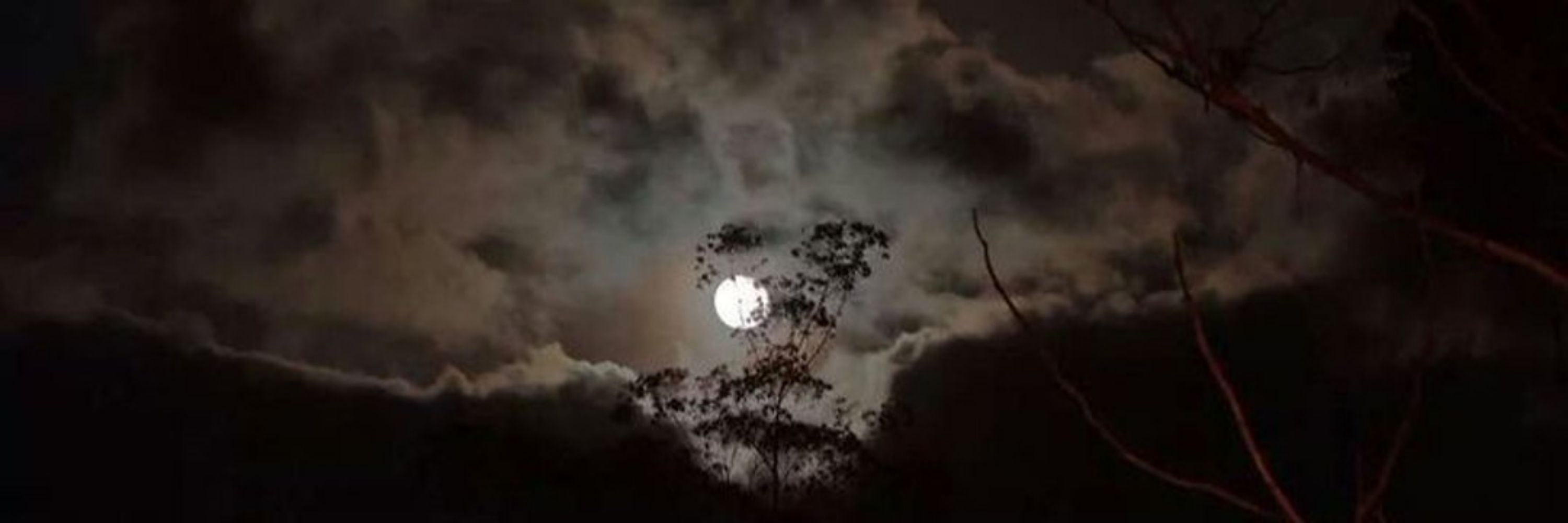 lari 📖 coroa da meia noite