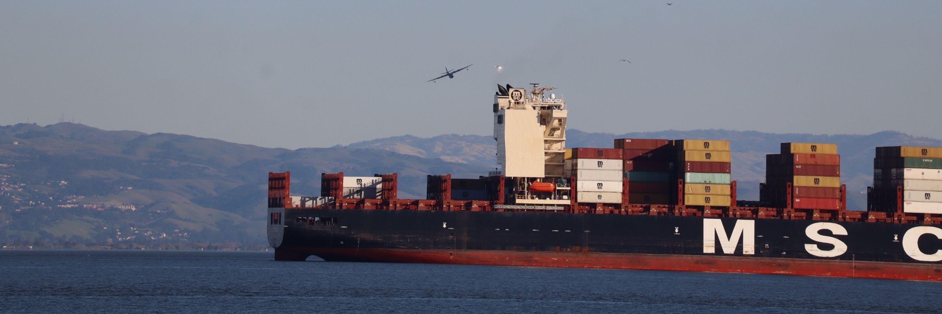 Cargo Ships