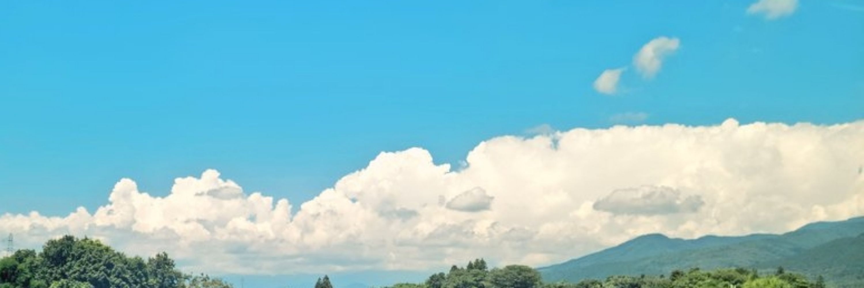 がらし