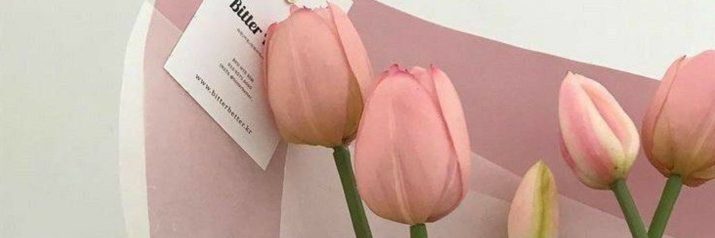 энн🍵🌸