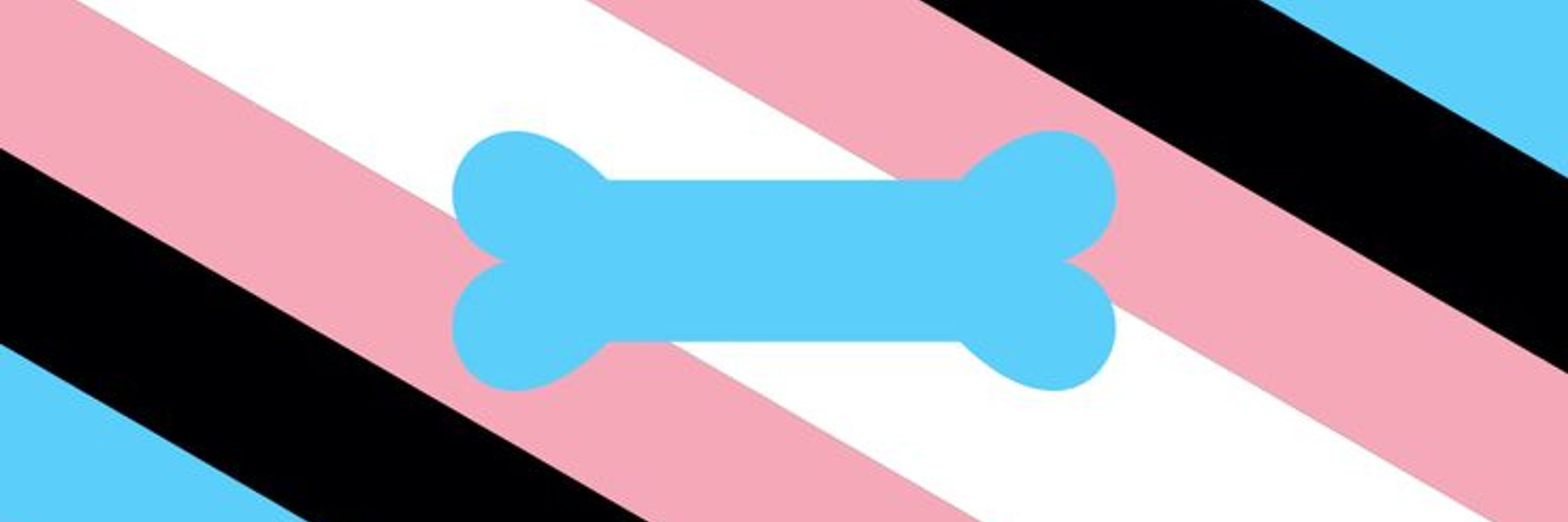 Sterling: Trans Puppy Boy Wonder