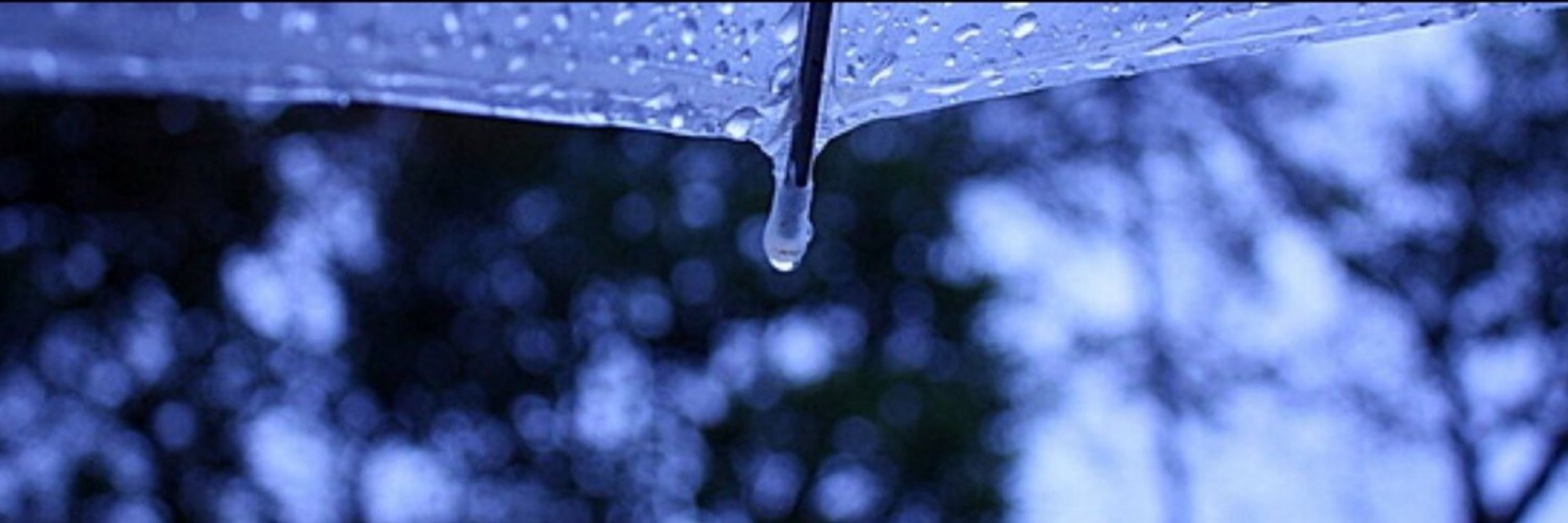 ６月の雨