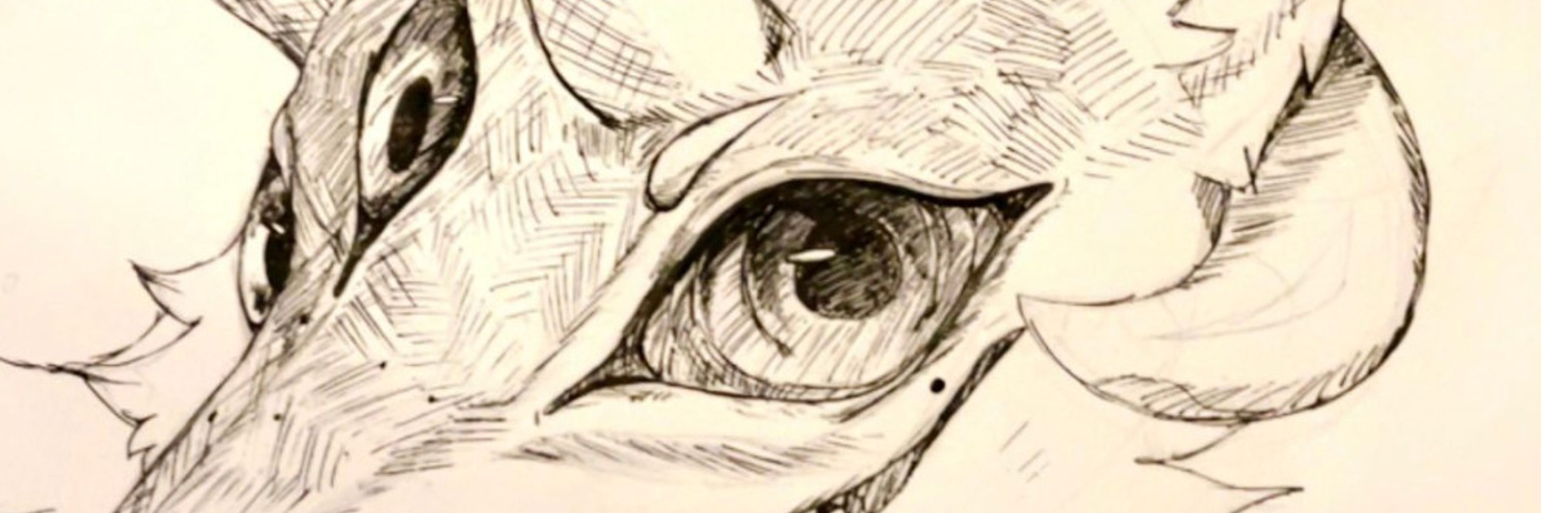 Birb | Apollo | Cain 🔞💫 lVlIRROR'S CS