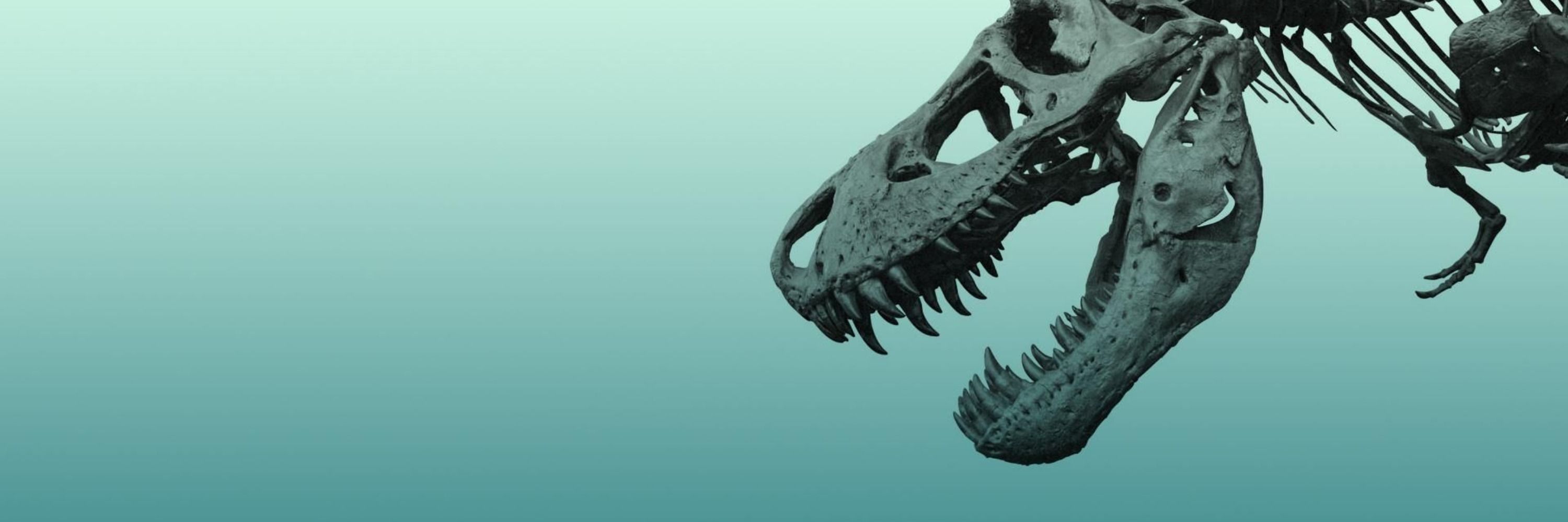 Dino