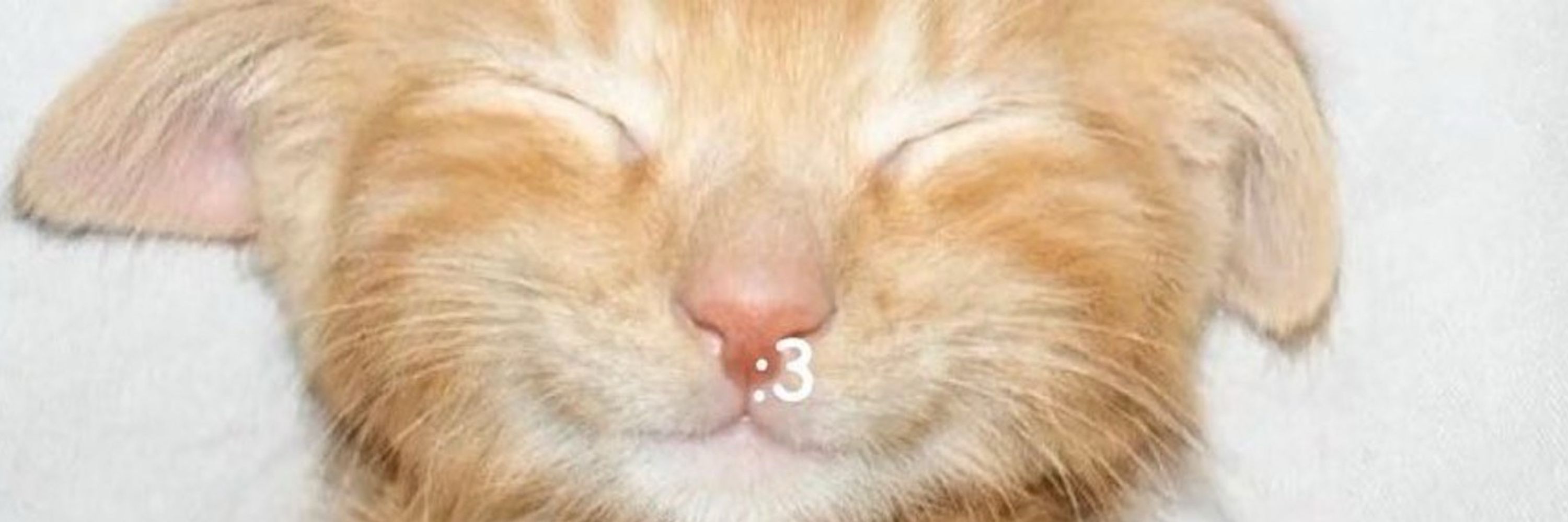 𐂯