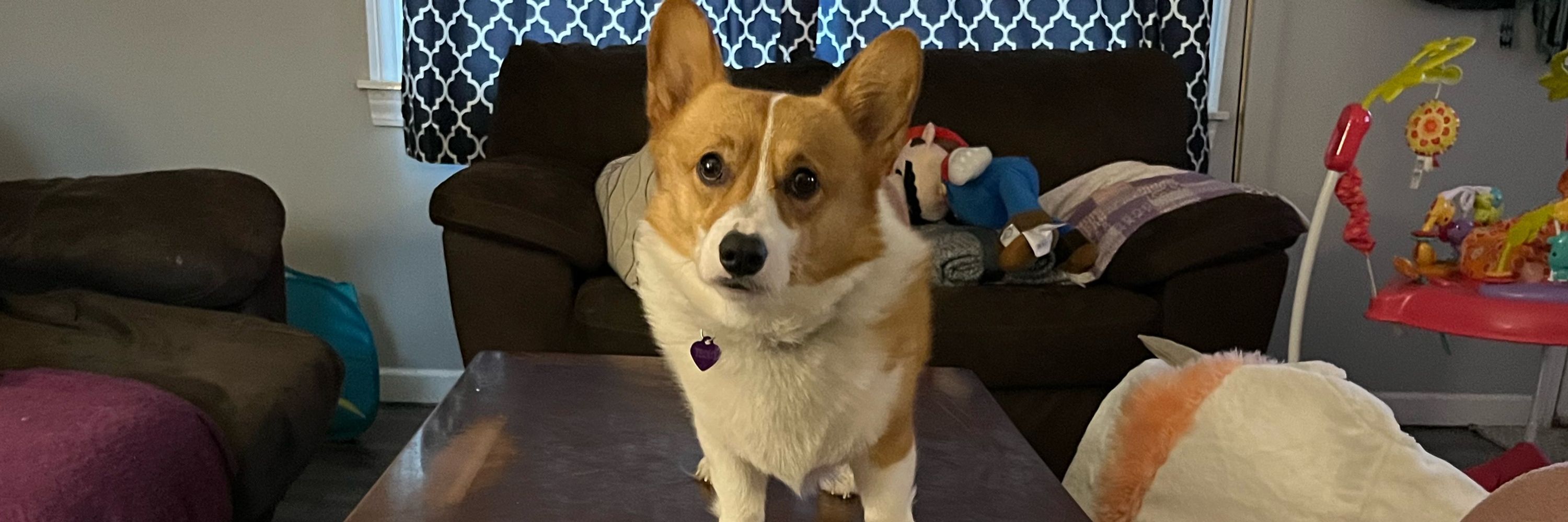 Joe