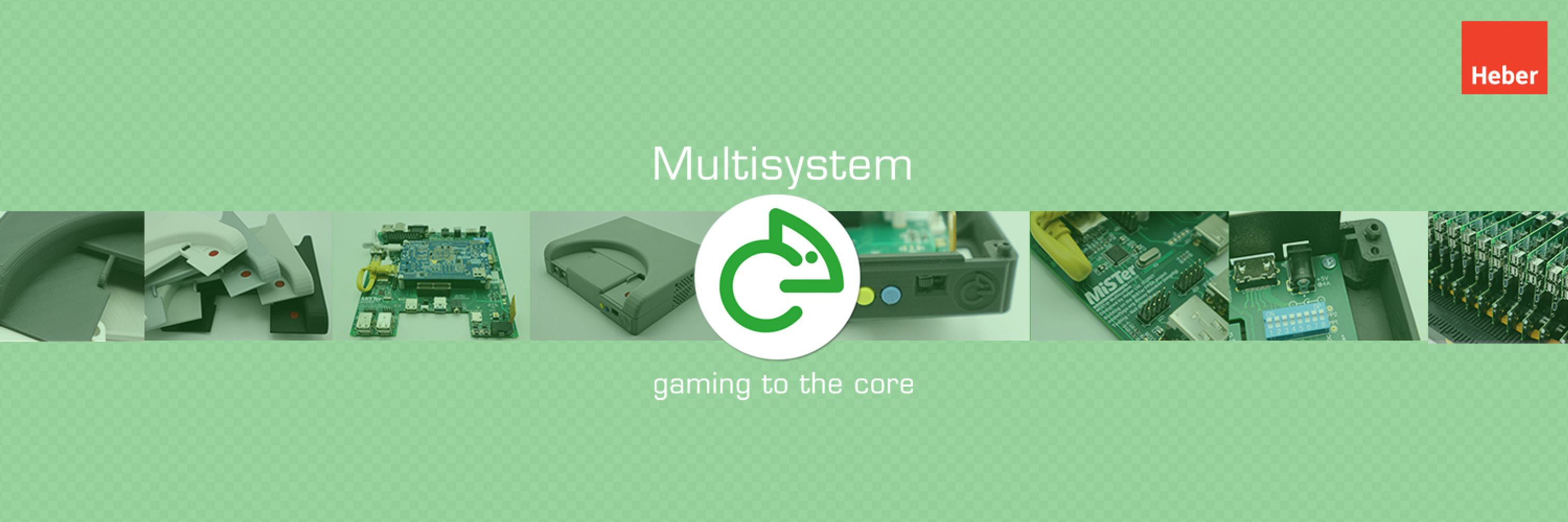 Multisystem