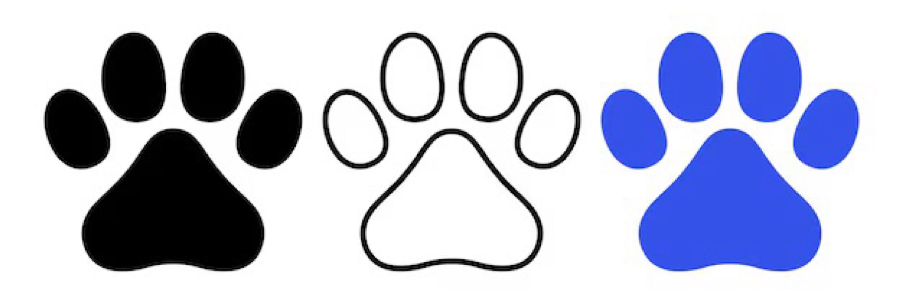 Pup Comet
