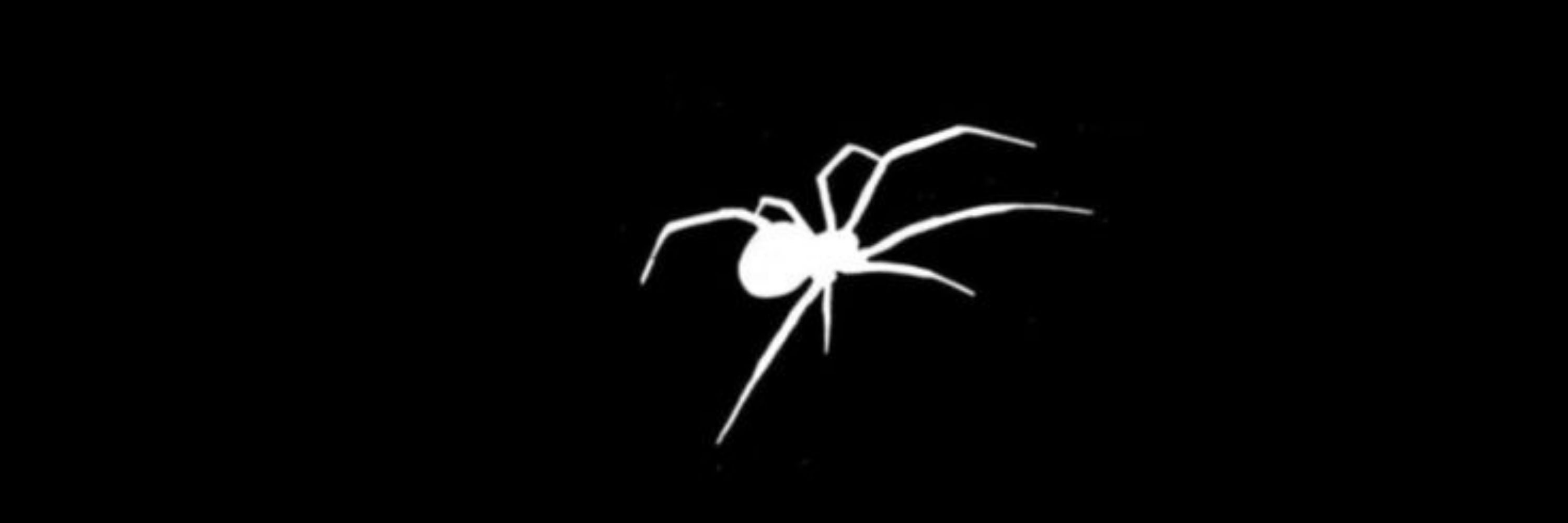 Echeverria 